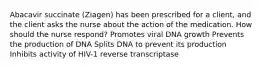 Abacavir succinate (Ziagen) has been prescribed for a client, and the client asks the nurse about the action of the medication. How should the nurse respond? Promotes viral DNA growth Prevents the production of DNA Splits DNA to prevent its production Inhibits activity of HIV-1 reverse transcriptase