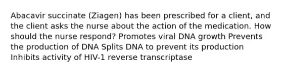 Abacavir succinate (Ziagen) has been prescribed for a client, and the client asks the nurse about the action of the medication. How should the nurse respond? Promotes viral DNA growth Prevents the production of DNA Splits DNA to prevent its production Inhibits activity of HIV-1 reverse transcriptase