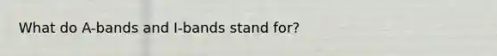 What do A-bands and I-bands stand for?