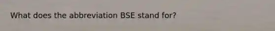 What does the abbreviation BSE stand for?