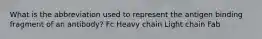 What is the abbreviation used to represent the antigen binding fragment of an antibody? Fc Heavy chain Light chain Fab