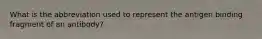 What is the abbreviation used to represent the antigen binding fragment of an antibody?