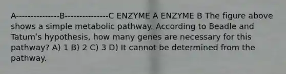 A---------------B---------------C ENZYME A ENZYME B The figure above shows a simple metabolic pathway. According to Beadle and Tatumʹs hypothesis, how many genes are necessary for this pathway? A) 1 B) 2 C) 3 D) It cannot be determined from the pathway.