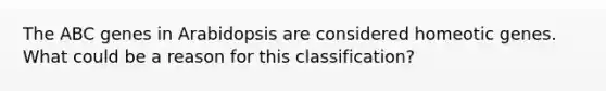 The ABC genes in Arabidopsis are considered homeotic genes. What could be a reason for this classification?