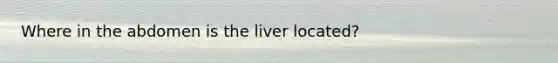 Where in the abdomen is the liver located?