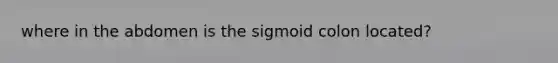 where in the abdomen is the sigmoid colon located?