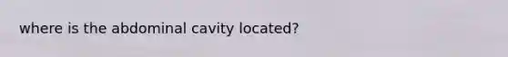 where is the abdominal cavity located?