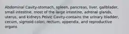 Abdominal Cavity-stomach, spleen, pancreas, liver, gallblader, small intestine, most of the large intestine, adrenal glands, uterus, and kidneys Pelvic Cavity-contains the urinary bladder, cecum, sigmoid colon, rectum, appendix, and reproductive organs