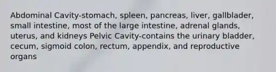 Abdominal Cavity-stomach, spleen, pancreas, liver, gallblader, small intestine, most of the large intestine, adrenal glands, uterus, and kidneys Pelvic Cavity-contains the urinary bladder, cecum, sigmoid colon, rectum, appendix, and reproductive organs