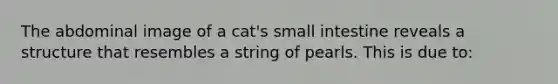 The abdominal image of a cat's small intestine reveals a structure that resembles a string of pearls. This is due to: