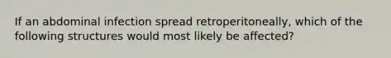 If an abdominal infection spread retroperitoneally, which of the following structures would most likely be affected?