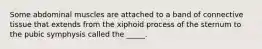 Some abdominal muscles are attached to a band of connective tissue that extends from the xiphoid process of the sternum to the pubic symphysis called the _____.