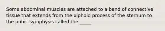 Some abdominal muscles are attached to a band of connective tissue that extends from the xiphoid process of the sternum to the pubic symphysis called the _____.