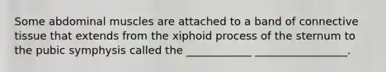 Some abdominal muscles are attached to a band of <a href='https://www.questionai.com/knowledge/kYDr0DHyc8-connective-tissue' class='anchor-knowledge'>connective tissue</a> that extends from the xiphoid process of the sternum to the pubic symphysis called the ____________ _________________.