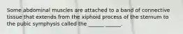 Some abdominal muscles are attached to a band of connective tissue that extends from the xiphoid process of the sternum to the pubic symphysis called the ______ ______.