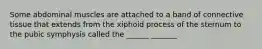 Some abdominal muscles are attached to a band of connective tissue that extends from the xiphoid process of the sternum to the pubic symphysis called the ______ _______