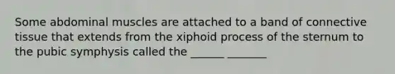 Some abdominal muscles are attached to a band of connective tissue that extends from the xiphoid process of the sternum to the pubic symphysis called the ______ _______