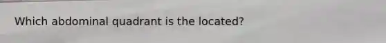 Which abdominal quadrant is the located?