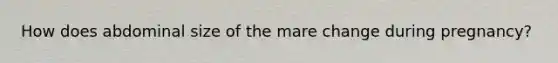 How does abdominal size of the mare change during pregnancy?