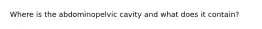 Where is the abdominopelvic cavity and what does it contain?