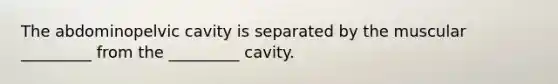 The abdominopelvic cavity is separated by the muscular _________ from the _________ cavity.