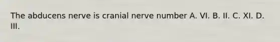 The abducens nerve is cranial nerve number A. VI. B. II. C. XI. D. III.