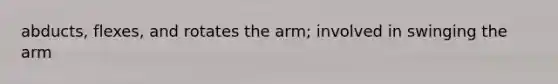 abducts, flexes, and rotates the arm; involved in swinging the arm