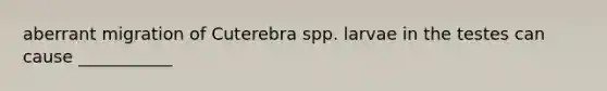 aberrant migration of Cuterebra spp. larvae in the testes can cause ___________