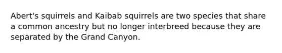 Abert's squirrels and Kaibab squirrels are two species that share a common ancestry but no longer interbreed because they are separated by the Grand Canyon.