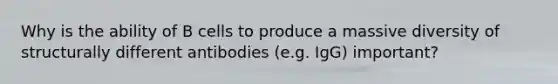 Why is the ability of B cells to produce a massive diversity of structurally different antibodies (e.g. IgG) important?