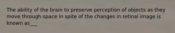 The ability of the brain to preserve perception of objects as they move through space in spite of the changes in retinal image is known as___