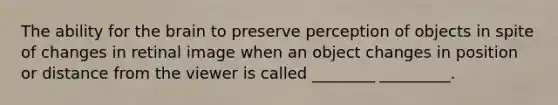 The ability for the brain to preserve perception of objects in spite of changes in retinal image when an object changes in position or distance from the viewer is called ________ _________.