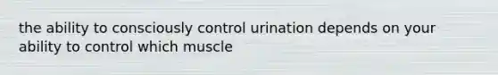 the ability to consciously control urination depends on your ability to control which muscle