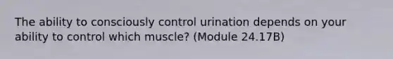 The ability to consciously control urination depends on your ability to control which muscle? (Module 24.17B)