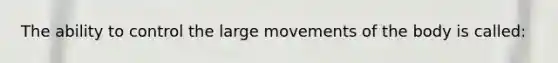 The ability to control the large movements of the body is called: