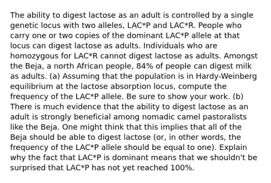 The ability to digest lactose as an adult is controlled by a single genetic locus with two alleles, LAC*P and LAC*R. People who carry one or two copies of the dominant LAC*P allele at that locus can digest lactose as adults. Individuals who are homozygous for LAC*R cannot digest lactose as adults. Amongst the Beja, a north African people, 84% of people can digest milk as adults. (a) Assuming that the population is in Hardy-Weinberg equilibrium at the lactose absorption locus, compute the frequency of the LAC*P allele. Be sure to show your work. (b) There is much evidence that the ability to digest lactose as an adult is strongly beneficial among nomadic camel pastoralists like the Beja. One might think that this implies that all of the Beja should be able to digest lactose (or, in other words, the frequency of the LAC*P allele should be equal to one). Explain why the fact that LAC*P is dominant means that we shouldn't be surprised that LAC*P has not yet reached 100%.