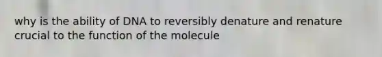 why is the ability of DNA to reversibly denature and renature crucial to the function of the molecule