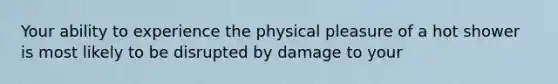 Your ability to experience the physical pleasure of a hot shower is most likely to be disrupted by damage to your