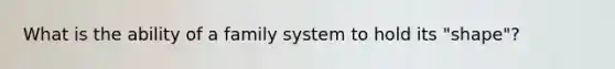 What is the ability of a family system to hold its "shape"?