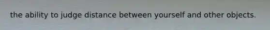 the ability to judge distance between yourself and other objects.