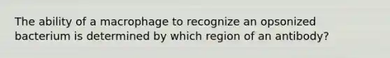 The ability of a macrophage to recognize an opsonized bacterium is determined by which region of an antibody?