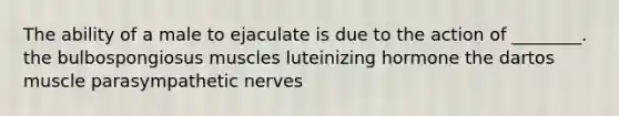 The ability of a male to ejaculate is due to the action of ________. the bulbospongiosus muscles luteinizing hormone the dartos muscle parasympathetic nerves