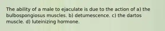 The ability of a male to ejaculate is due to the action of a) the bulbospongiosus muscles. b) detumescence. c) the dartos muscle. d) luteinizing hormone.