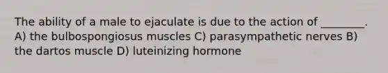 The ability of a male to ejaculate is due to the action of ________. A) the bulbospongiosus muscles C) parasympathetic nerves B) the dartos muscle D) luteinizing hormone