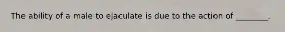 The ability of a male to ejaculate is due to the action of ________.