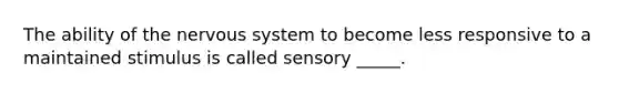 The ability of the nervous system to become less responsive to a maintained stimulus is called sensory _____.