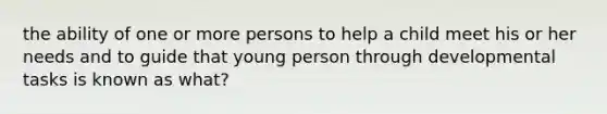 the ability of one or more persons to help a child meet his or her needs and to guide that young person through developmental tasks is known as what?