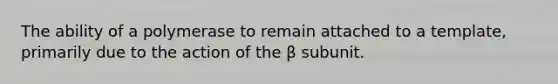 The ability of a polymerase to remain attached to a template, primarily due to the action of the β subunit.