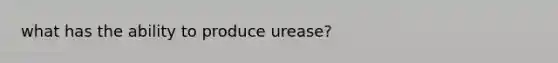 what has the ability to produce urease?