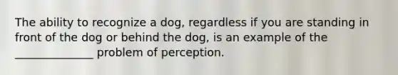 The ability to recognize a dog, regardless if you are standing in front of the dog or behind the dog, is an example of the ______________ problem of perception.